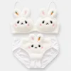 Rabbit Plush Bra Panty Set for Women Pakistan
