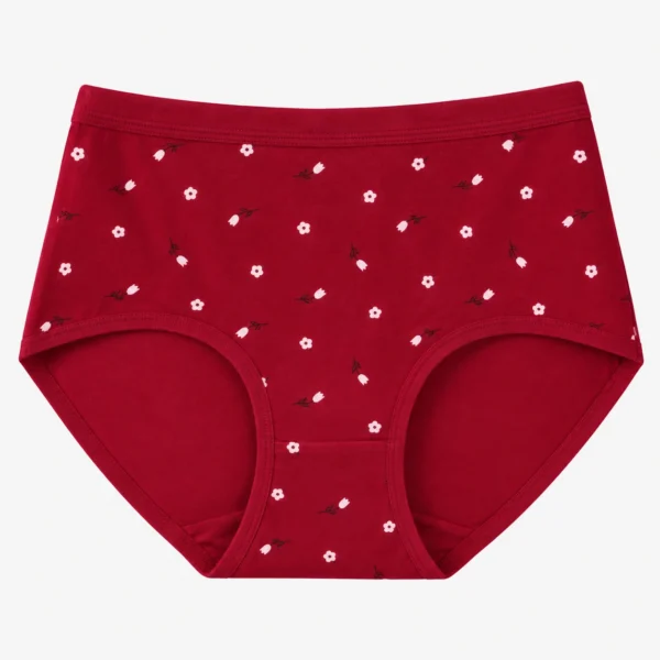 Sexy undergarments styled as cute printed hipster panties for women with comfortable stretch fit.