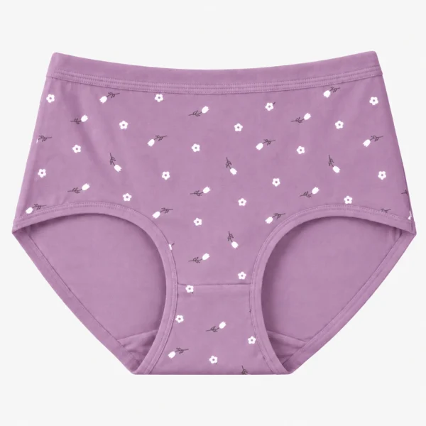 Feminine hipster panties showcasing cute women's underwear design and charming print patterns.